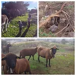 La Jarilla Gospodarstwo agroturystyczne *