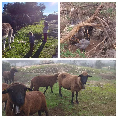 La Jarilla Farm stay *