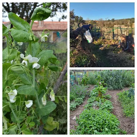 Farm stay La Jarilla *
