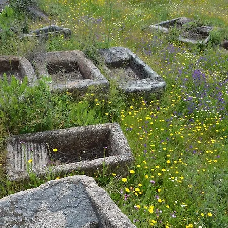 Κατάλυμα σε φάρμα La Jarilla *