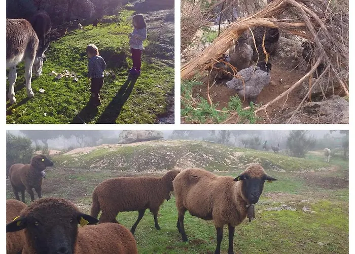 La Jarilla Farmház *