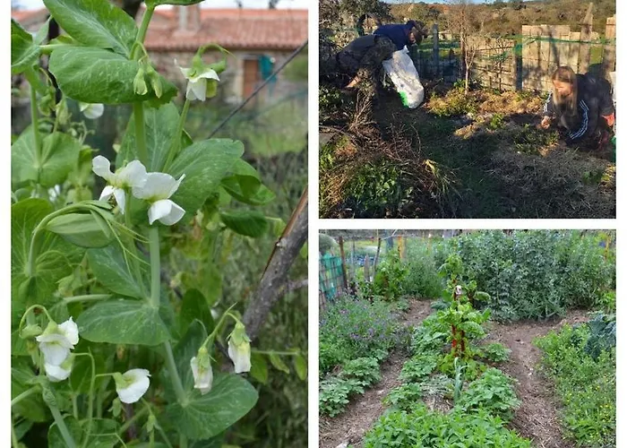 Farmház La Jarilla *